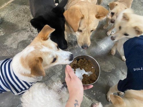 슬라이드 이미지