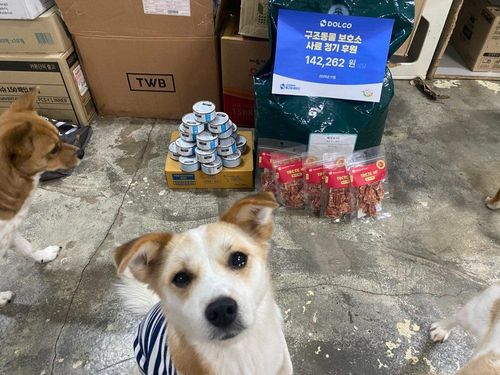 슬라이드 이미지