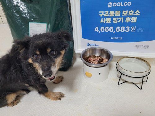 슬라이드 이미지