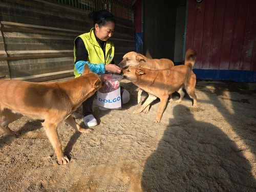 슬라이드 이미지