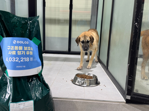 슬라이드 이미지