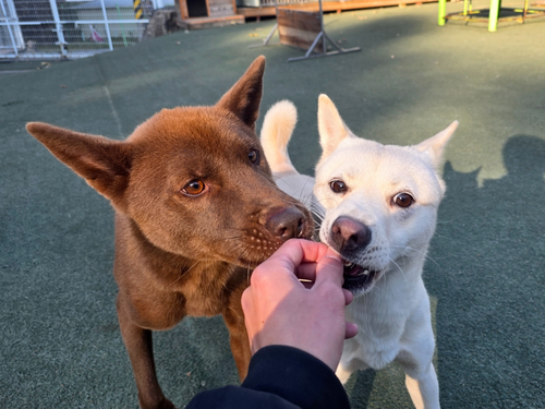 슬라이드 이미지