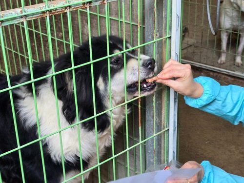 슬라이드 이미지