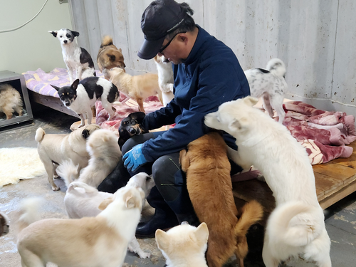 슬라이드 이미지