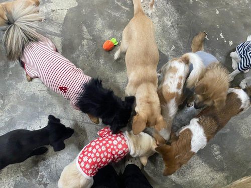 슬라이드 이미지