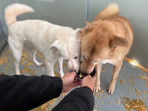 슬라이드 이미지