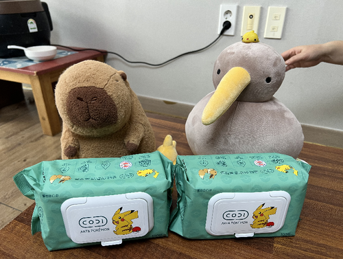 슬라이드 이미지