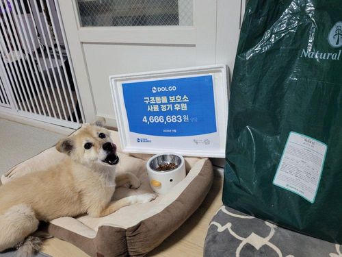 슬라이드 이미지