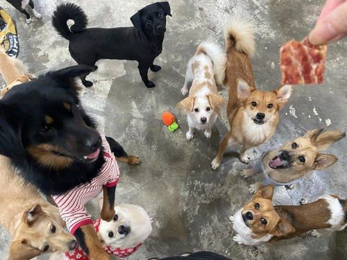 슬라이드 이미지