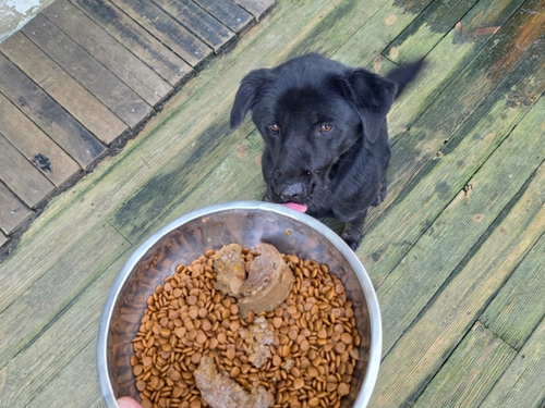 슬라이드 이미지