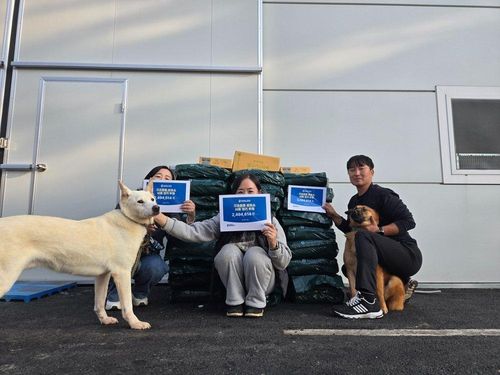 슬라이드 이미지