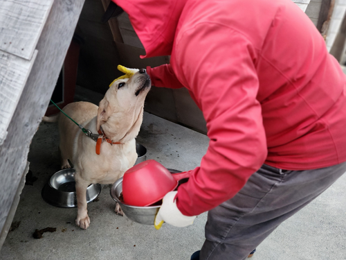 슬라이드 이미지