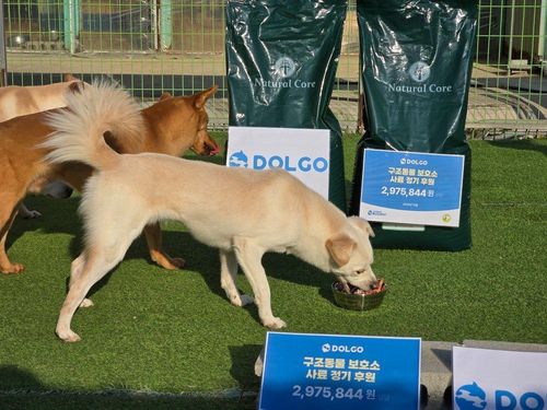 슬라이드 이미지