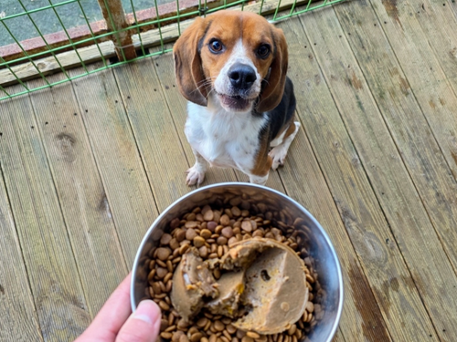 슬라이드 이미지