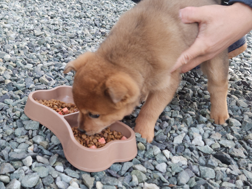 슬라이드 이미지