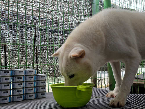 슬라이드 이미지