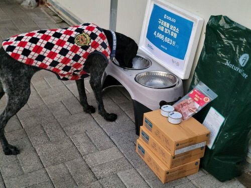 슬라이드 이미지