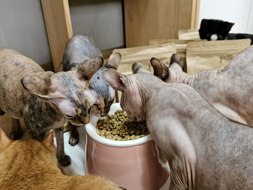 슬라이드 이미지