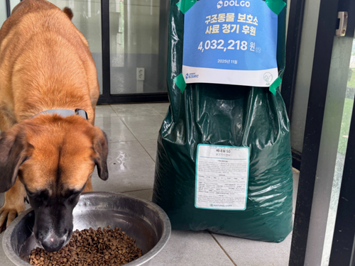 슬라이드 이미지