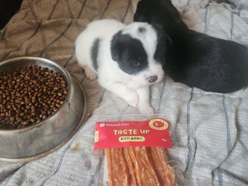 슬라이드 이미지