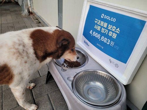 슬라이드 이미지