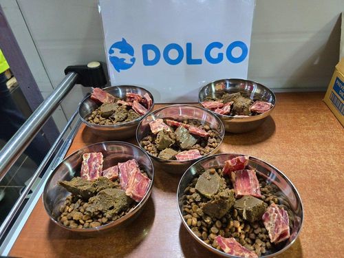 슬라이드 이미지