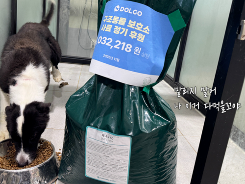 슬라이드 이미지