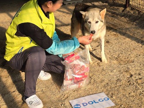 슬라이드 이미지