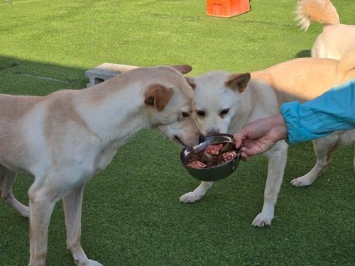 슬라이드 이미지