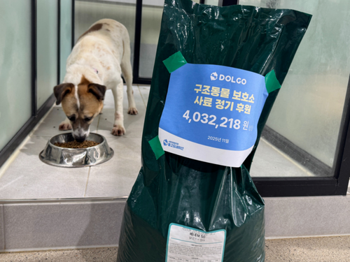 슬라이드 이미지