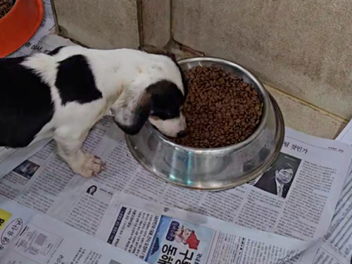 슬라이드 이미지