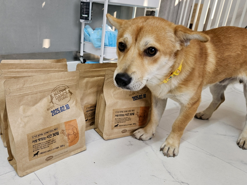 슬라이드 이미지