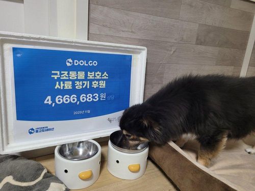 슬라이드 이미지