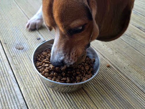 슬라이드 이미지