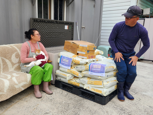 슬라이드 이미지