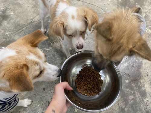 슬라이드 이미지