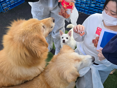 슬라이드 이미지