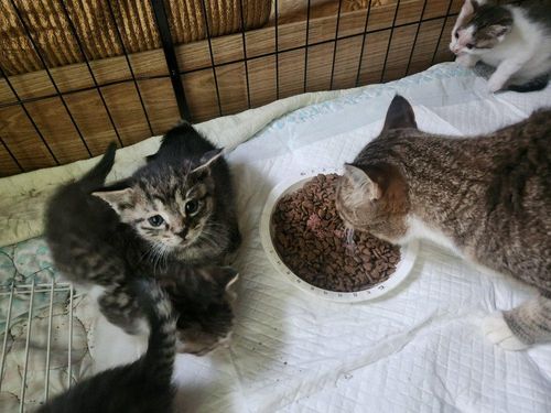 슬라이드 이미지