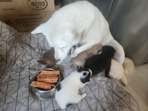 슬라이드 이미지