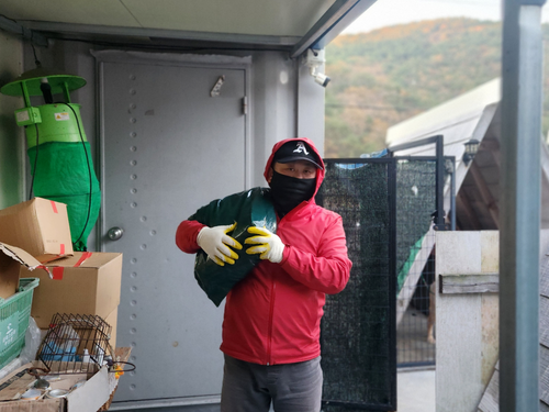 슬라이드 이미지