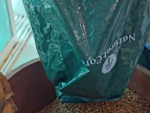 슬라이드 이미지