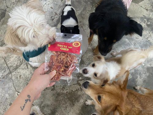 슬라이드 이미지