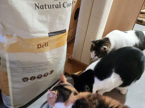 슬라이드 이미지