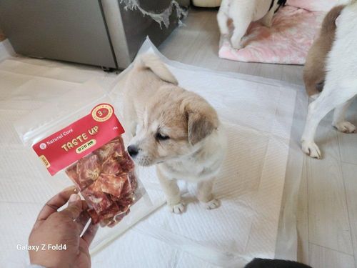 슬라이드 이미지