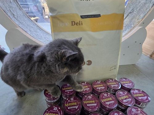 슬라이드 이미지