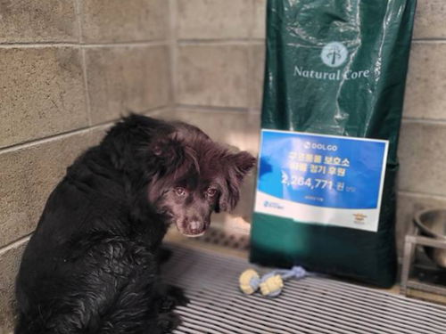 슬라이드 이미지