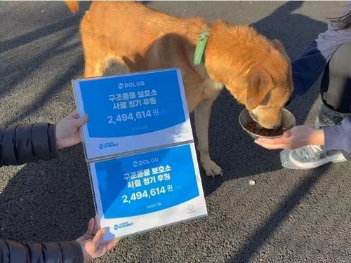 슬라이드 이미지