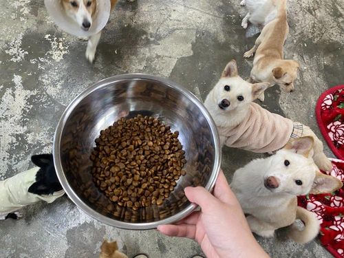 슬라이드 이미지