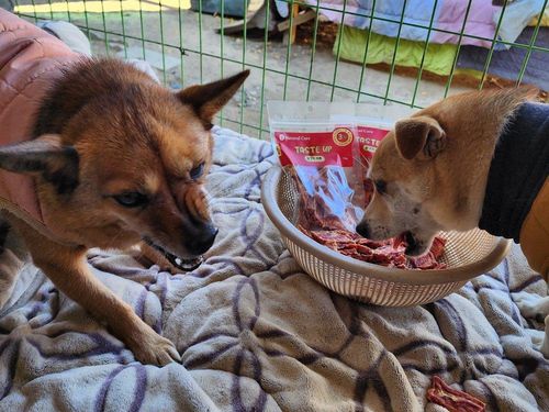 슬라이드 이미지