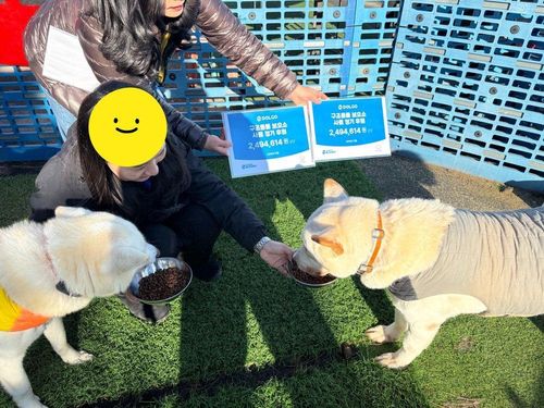 슬라이드 이미지